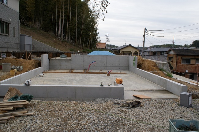 DSC00542.jpg