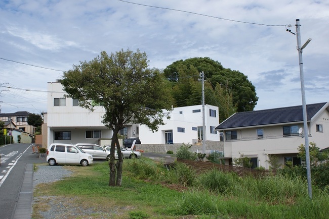 DSC01458.jpg