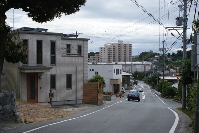 DSC01475.jpg